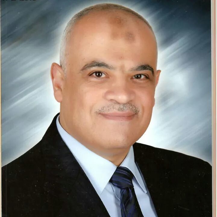 Hossam El-din Mostafa Mohammad